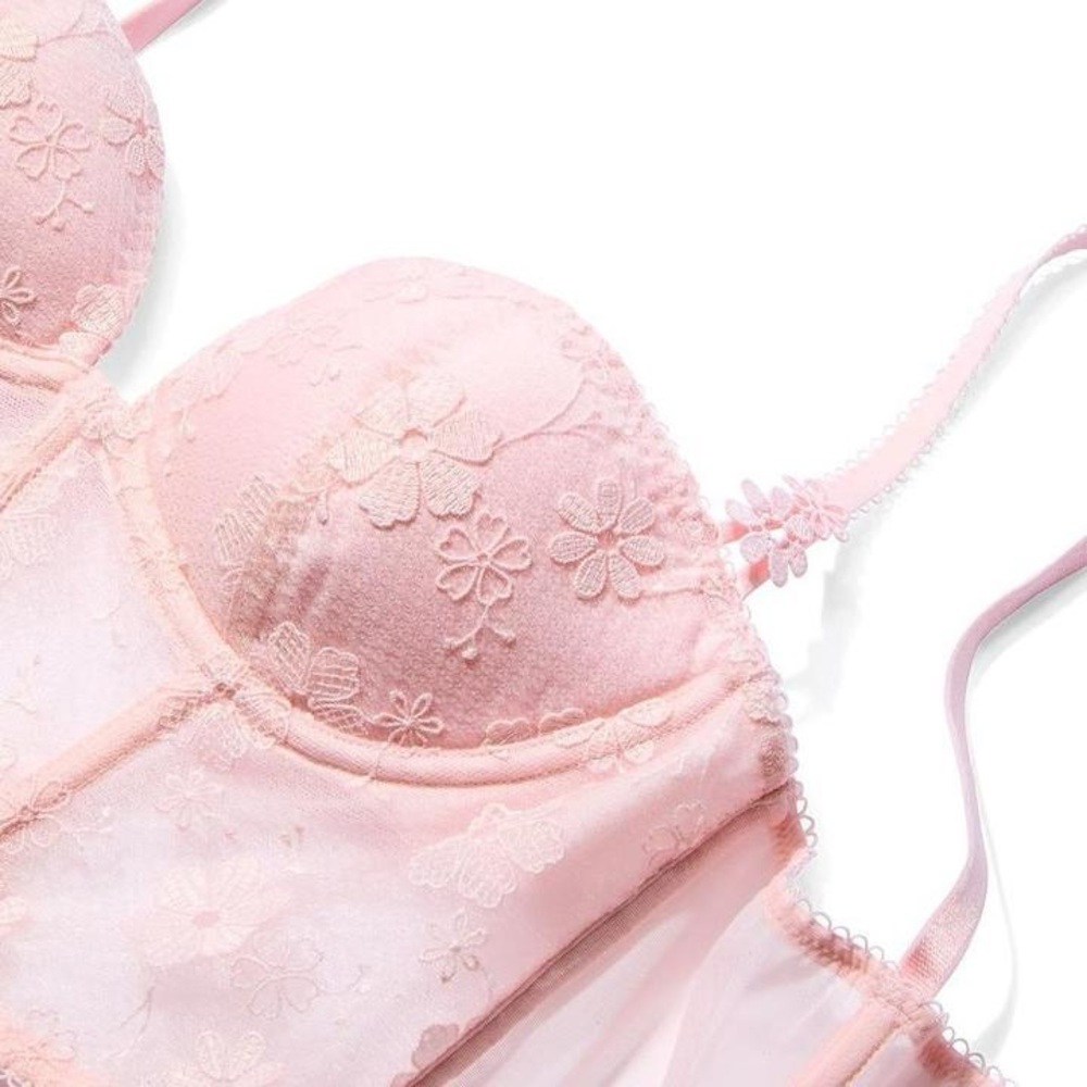 Victorias Secret Dream Angels Light Pink Blossom Embroidery Plunge Corset Top Xs